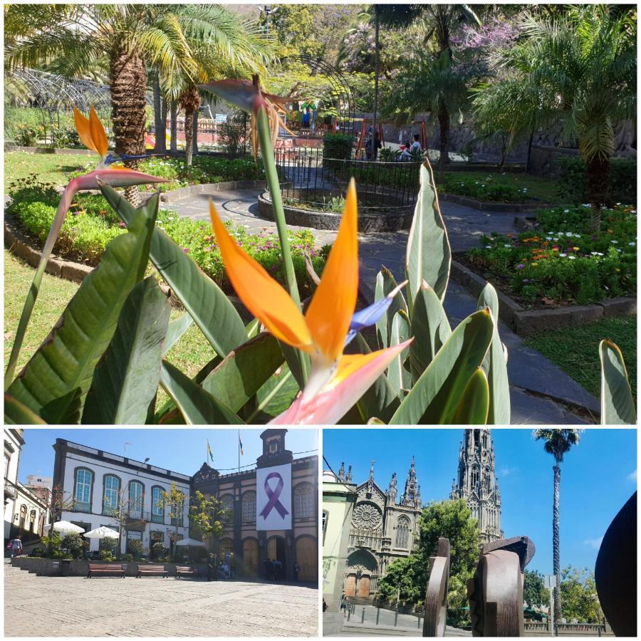 Casa Isabel Centro Historico Villa อารูกัส ภายนอก รูปภาพ